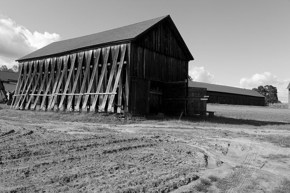 Amazon Com Vintography 8 X 12 Black White Photo Tobacco Barns In