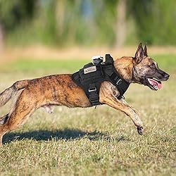 rabbitgoo Tactical Dog Harness for Large, Heavy