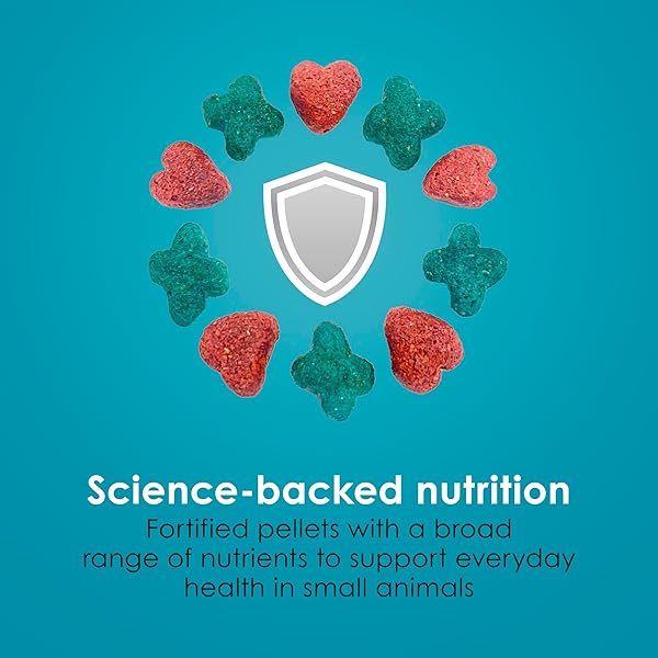 KAYTEE FORTI-DIET PRO HEALTH NOURISH+PROTECT GUINEA PIG FOOD, COMPREHENSIVE NUTRITION BACKED BY SCIENCE, DIGESTIVE HEALTH, IMMUNE SUPPORT, 5 POUNDS