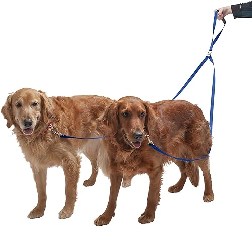dog leash safety clip
