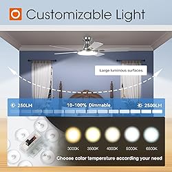 addlon Ceiling Fans with Lights, 52 inch Flush