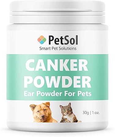 best product to get urine smell out of carpet