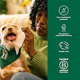 Earth Rated Pet Wipes Unscented 60 Count for Dogs Cats Hypoallergenic view 4
