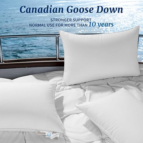 AiAngu Canadian Luxury Goose Down Pillow 900 Fill Power, 100