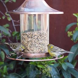 Perky-Pet Comedero para pájaros con tejado y Percha Circular ...