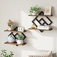 ELYKEN Floating Shelves for Wall, Set of 2 Hanging Shelves, Rustic Brown | 2-Tier Wall Mounted Storage Shelves for Decor, Boo
