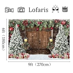 Lofaris Winter Christmas Backdrop Xmas Photography