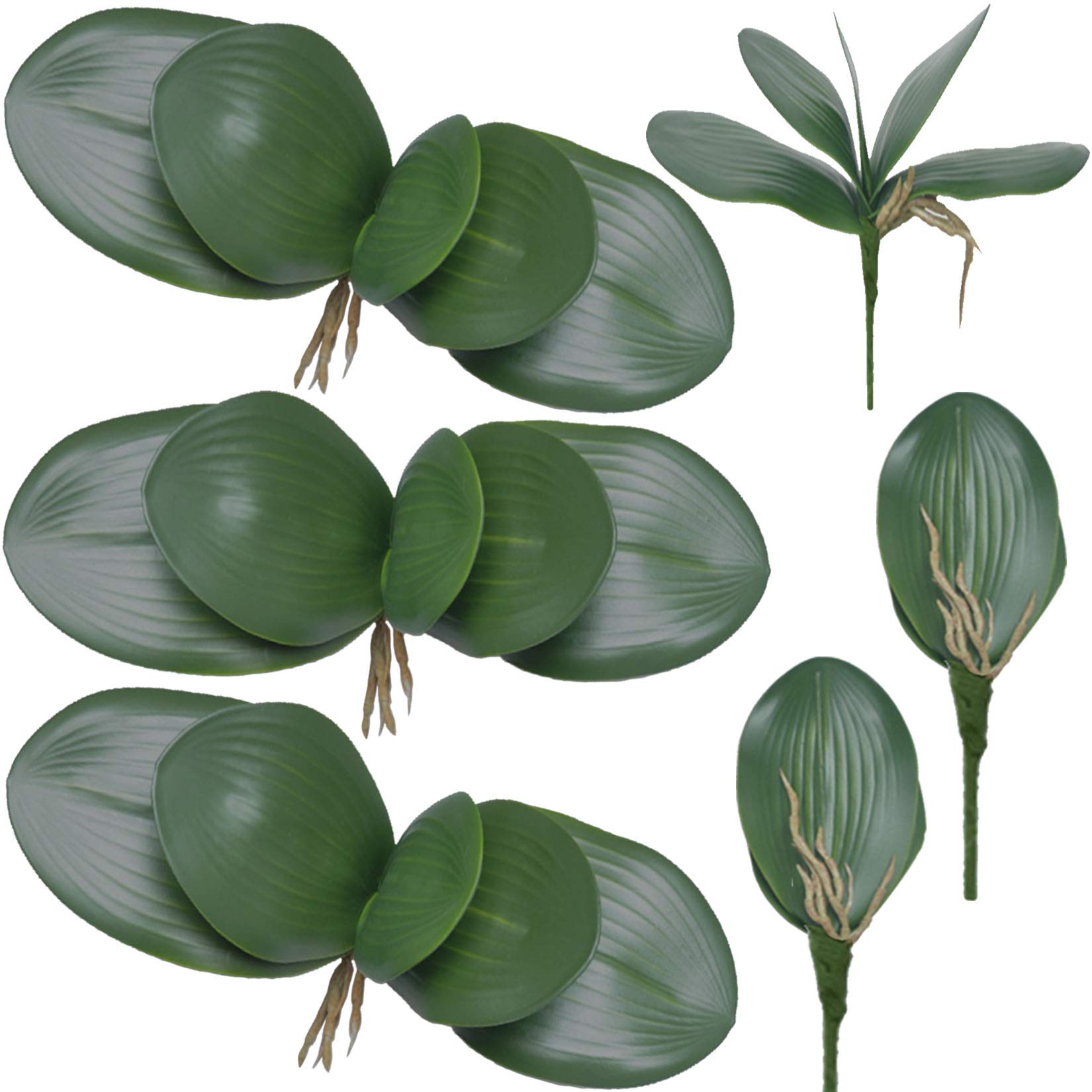 FagusHome 6 PCS Artificial Phalaenopsis Orchids Leaves 11 inches Green Faux Orchids Leaf (6 Pcs)