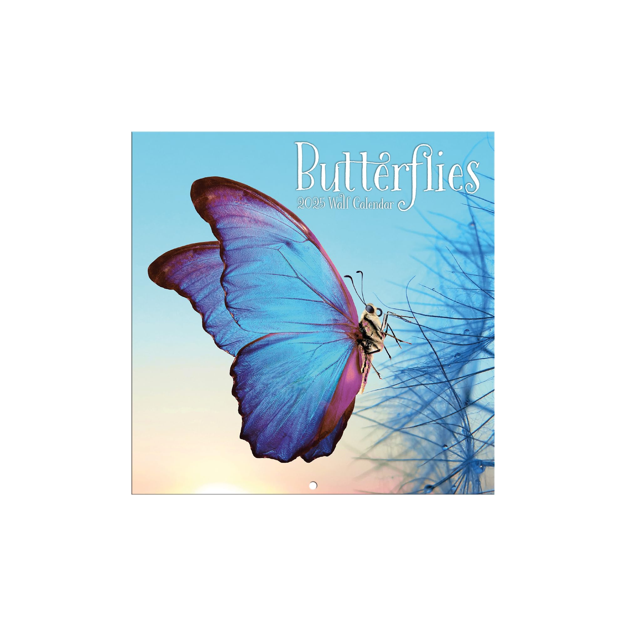 2023 - 12 Month Calendar-Butterfly- 12x12 Hanging Wall Calendar By - View #7