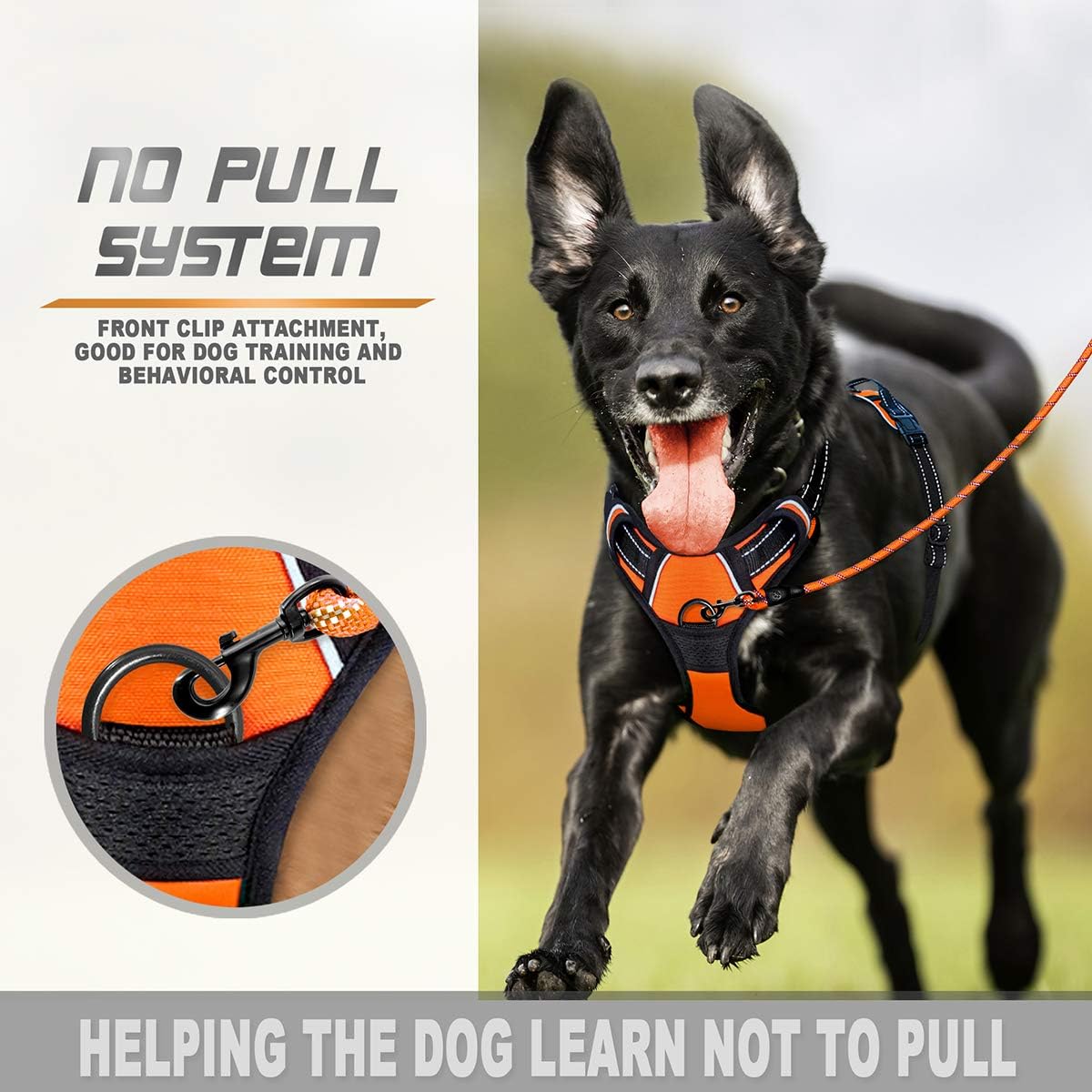 BARKBAY Dog Harness No-Pull Pet Harness Adjustable Outdoor Pet Vest Front Clip Heavy Duty 3M Reflective Oxford Material Vest for Dogs Easy Control for Small Medium Large(Orange,S) Dogs(Orange,S) - Image 4