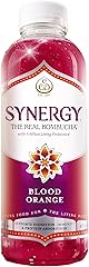 SYNERGY The Real Kombucha - Blood Orange - 16 fl oz Bottle - Raw Probiotic Drink for Gut Health and Immune Support