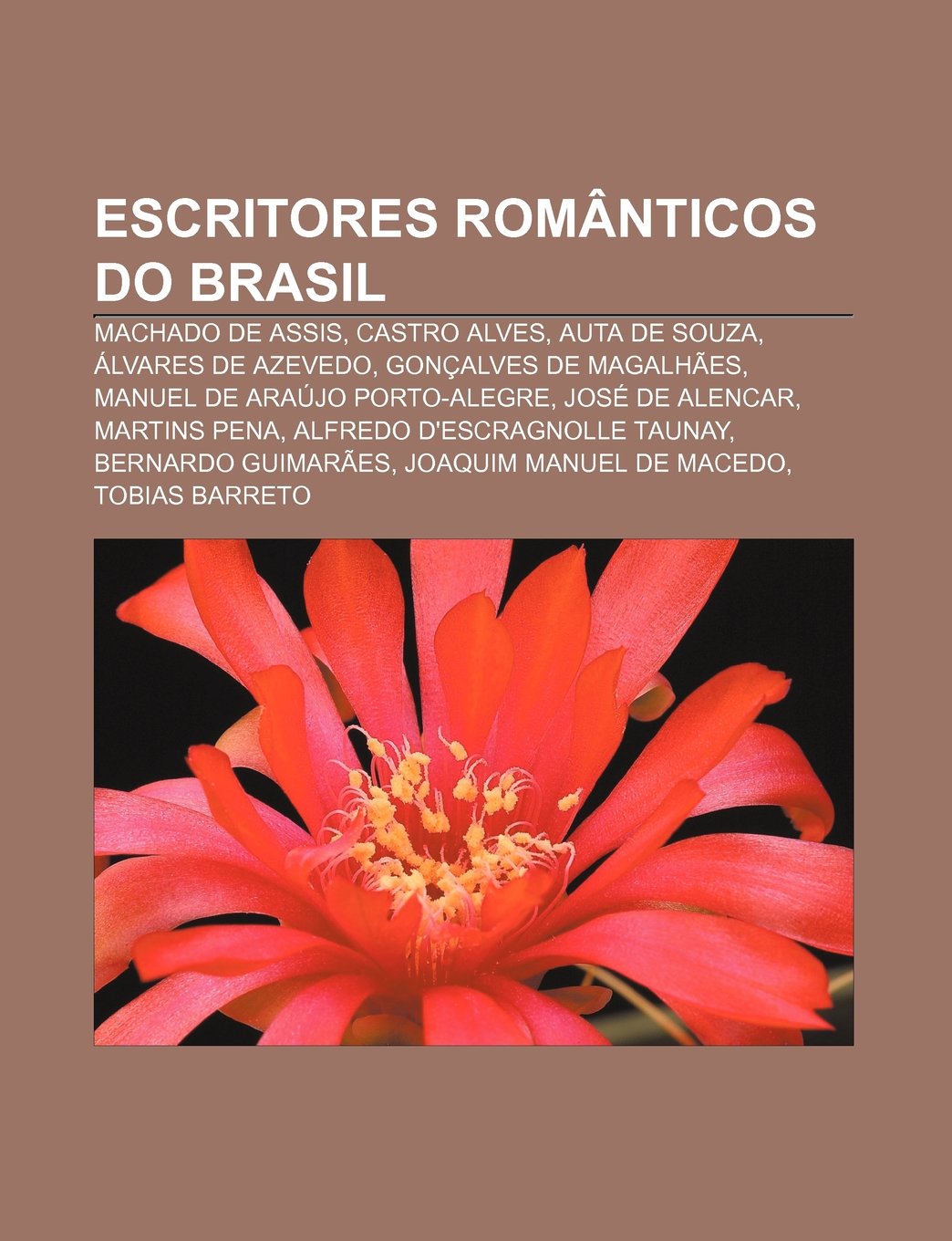 Escritores Romanticos Do Brasil: Machado de Assis, Castro Alves, Auta ...