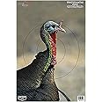 BIRCHWOOD CASEY Pregame 12" x 18" Small Game Animal Targets - Photo-Realistic Instant Splattering Shooting Targets - for Use with All Guns & Calibers - 8 Targets Pack