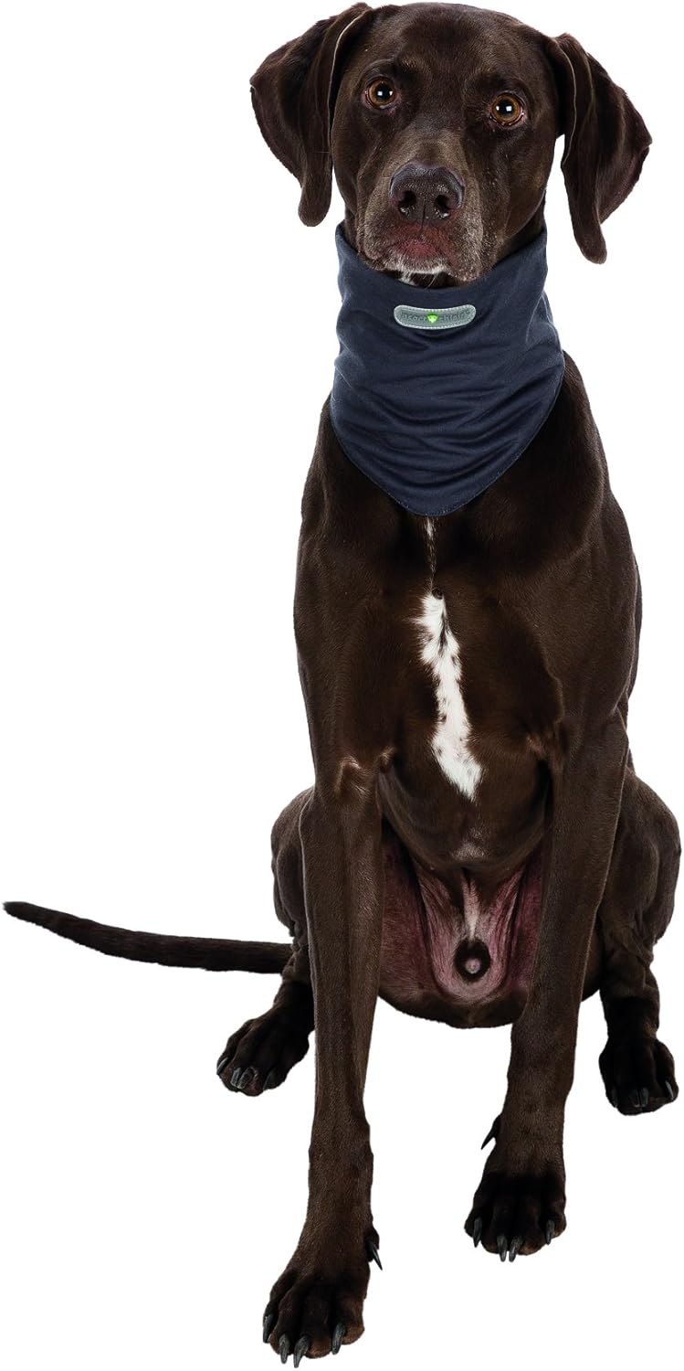 insect shield dog loop