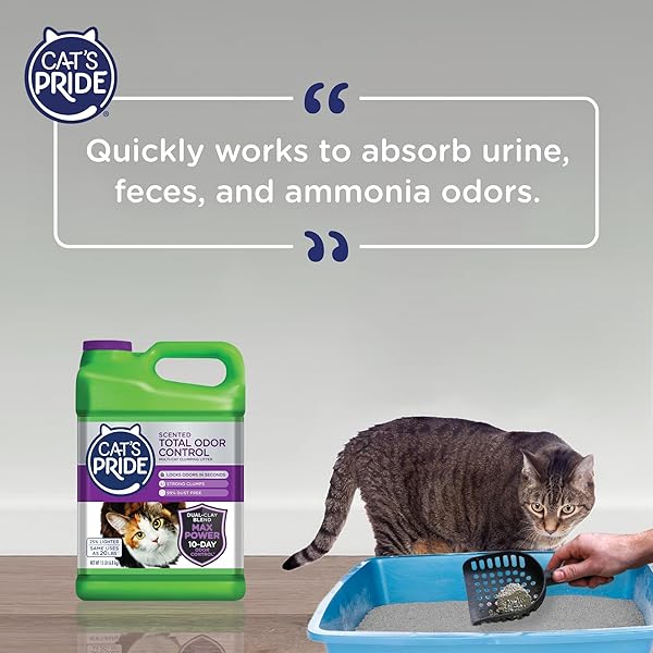 CAT’S PRIDE MAX POWER: TOTAL ODOR CONTROL – UP TO 10 DAYS OF POWERFUL ODOR CONTROL – STRONG CLUMPING – 99% DUST FREE – MULTI-CAT LITTER, SCENTED, 15 POUNDS