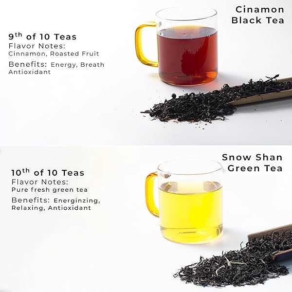 SACHS TEA 1773 FOUNDER’S ASSORTMENT – ORGANIC ASSORTED LOOSE LEAF TEA – 30 SACHETS – GREEN, BLACK, RED, WHITE, YELLOW, HERBAL TEAS – FRESH FLORAL, ROASTED FRUIT, MALTY, WOODY, HERBACEOUS NOTES – SUGAR-FREE, NON-GMO, KETO-FRIENDLY