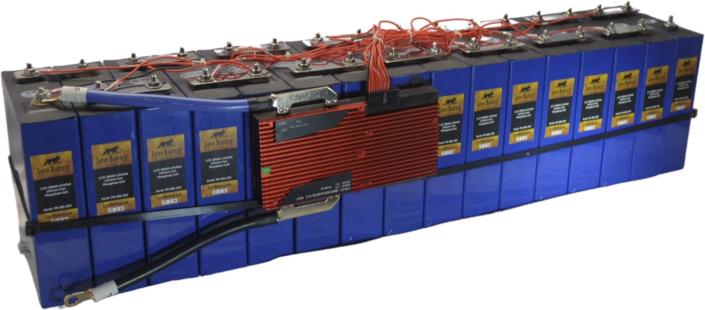 Lynx Battery 48V 200Ah Lithium Iron Phosphate LiFePO4 Rechargeable Prismatic Deep Cell Battery with BMS and Preset Cold Temp Cut Off for RV, Solar, Marine & Off-Grid Applications