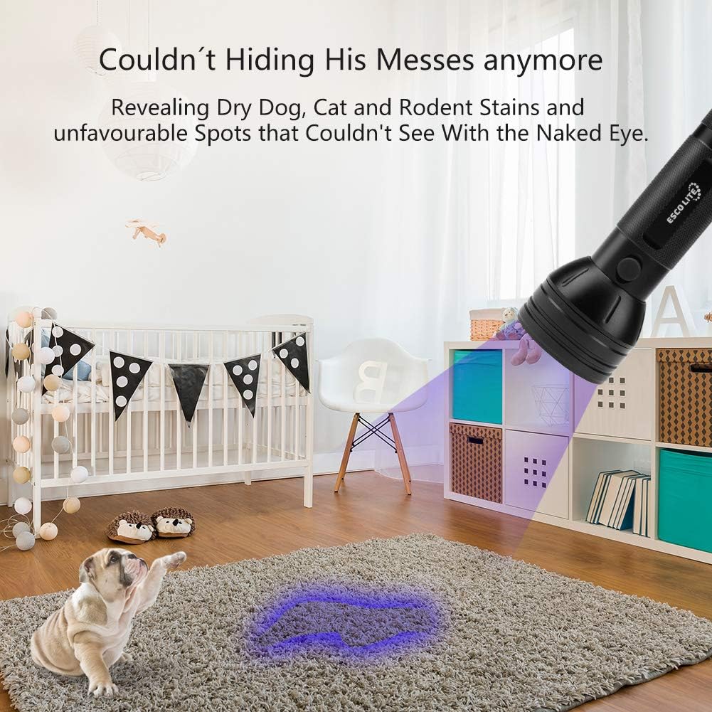 Escolite UV Flashlight Black Light, 51 LED 395 nM Ultraviolet Blacklight Detector for Dog Urine, Pet Stains and Bed Bug: Sports & Outdoors