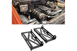 Canitu Black LS1 ECM ECU PCM LSX CNC Cut Engine Computer Mount Bracket Mounting Conversion Brackets Powertrain Control Module