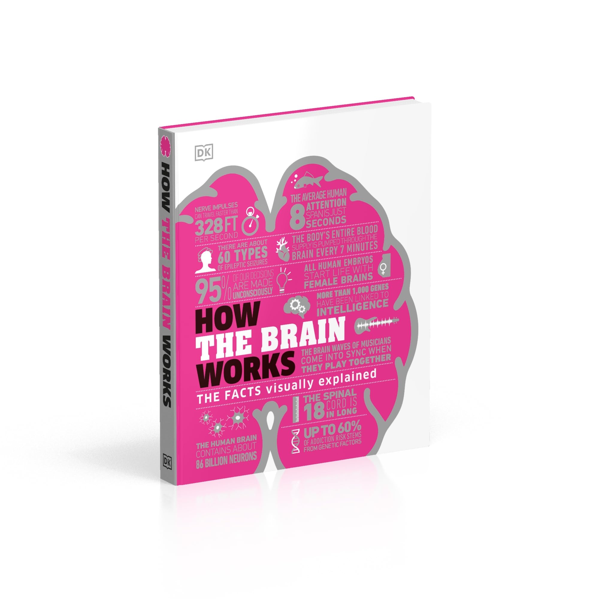 How the Brain Works: The Facts Visually Explained (DK How Stuff Works)