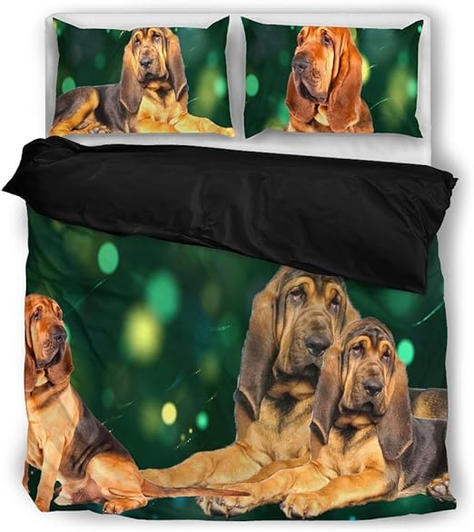 bloodhound cute