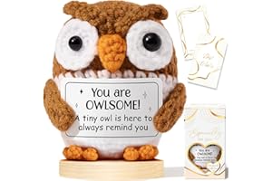 MAYICIVO Emotional Support Crochet Positive Owl Inspirational Cheer Gifts for Women, Handmade Crochet Owl Awesome Gift Thank You Birthday Valentines Teacher Appreciation Gift for Coworker Nurse Mom Friends
