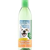fresh breath oral care foam