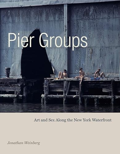 Download Pier Groups: Art and Sex Along the New York Waterfront PDF