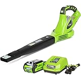 Greenworks 40V 150 MPH Variable Speed Cordless Blower, 2.0 AH Battery Included 24252
