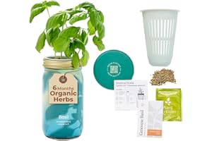 Modern Sprout Mason Garden Jar - Self-Watering Hydroponics Growing System Kit with Organic Herb Seeds - Jar Planter for Indoor Herb Garden - Seed Starter Kit - Home Decor & Gifting - Basil