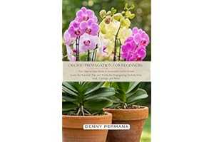 Orchid Propagation for Beginners: Your Step-by-Step Guide to Successful Orchid Growth: Learn the Essential Tips and Tricks fo