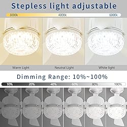 Dalouguan Socket Fan Light with Remote, 18" Clear