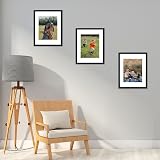 Scholar Tree 14x11 Inch Picture Frame Set of 3 Black Plastic Mounting view 8
