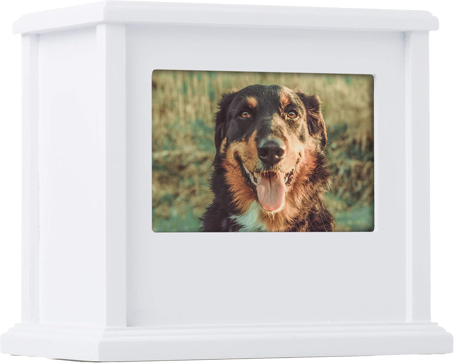 Pearhead Pet Memorial Urn, Cat or Dog Memory Box, Pet Memorial Keepsake