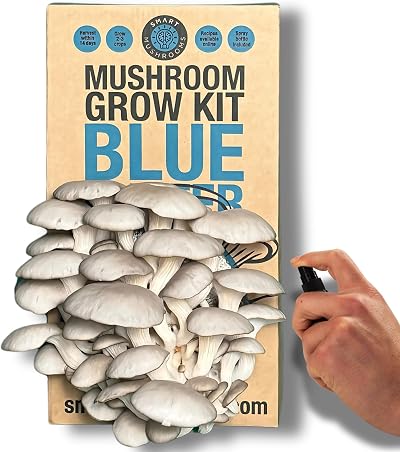 Smart Mushrooms Blue Oyster XL Growing Kit - 14 Day Harvest, Growth Guaranteed