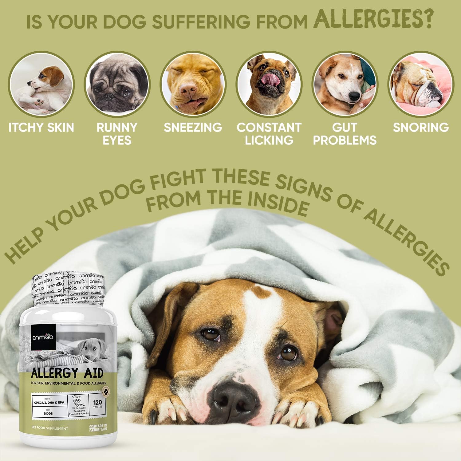 Dog Allergy Tablets, 120 Tablets, for Itchy Skin Immunity, Digestion & Seasonal Allergies, Grape Seed & Chicken Flavoured - Image 5