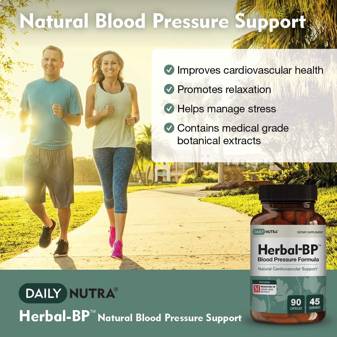 Herbal-BP Natural Blood Pressure Supplement by DailyNutra - Supports Cardiovascular Health & Stress Management | Medical Grade Plant Extracts - Safe, Long-Term Support (90 Capsules): Health & Personal Care