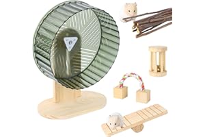 ANTIAI Hamster Exercise Wheel Toys,9.4' Large Size Super-Silent with Adjustable Base Cage Accessories Quiet Running Wheel for Dwarf Syrian Hamster Gerbils Guinea Pig Mice Small Animals,Green