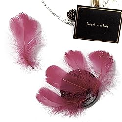 300pcs Maroon Red Feathers 2-3 Inches Bulk Feathers