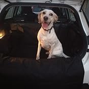 Tappeto Auto Per Cani Focuspet, 185x105x36 Cm, Impermeabile E Antiscivolo, Con Ventose E Cinghie, Per Bagagliaio Auto E SUV