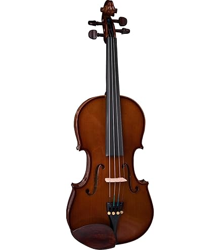 Amazon.com: Cremona SV-100 Premier Novice Violin Outfit - 3