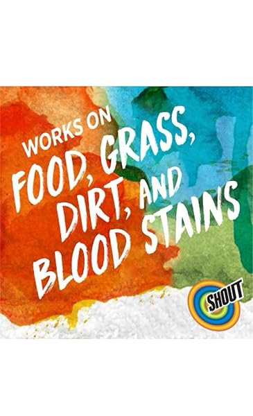 SHOUT TRIPLE ACTING LAUNDRY STAIN REMOVER WITH 22 OZ TRIGGER, 1 GALLON
