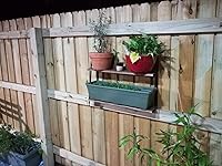 Review Image by Andy Andy