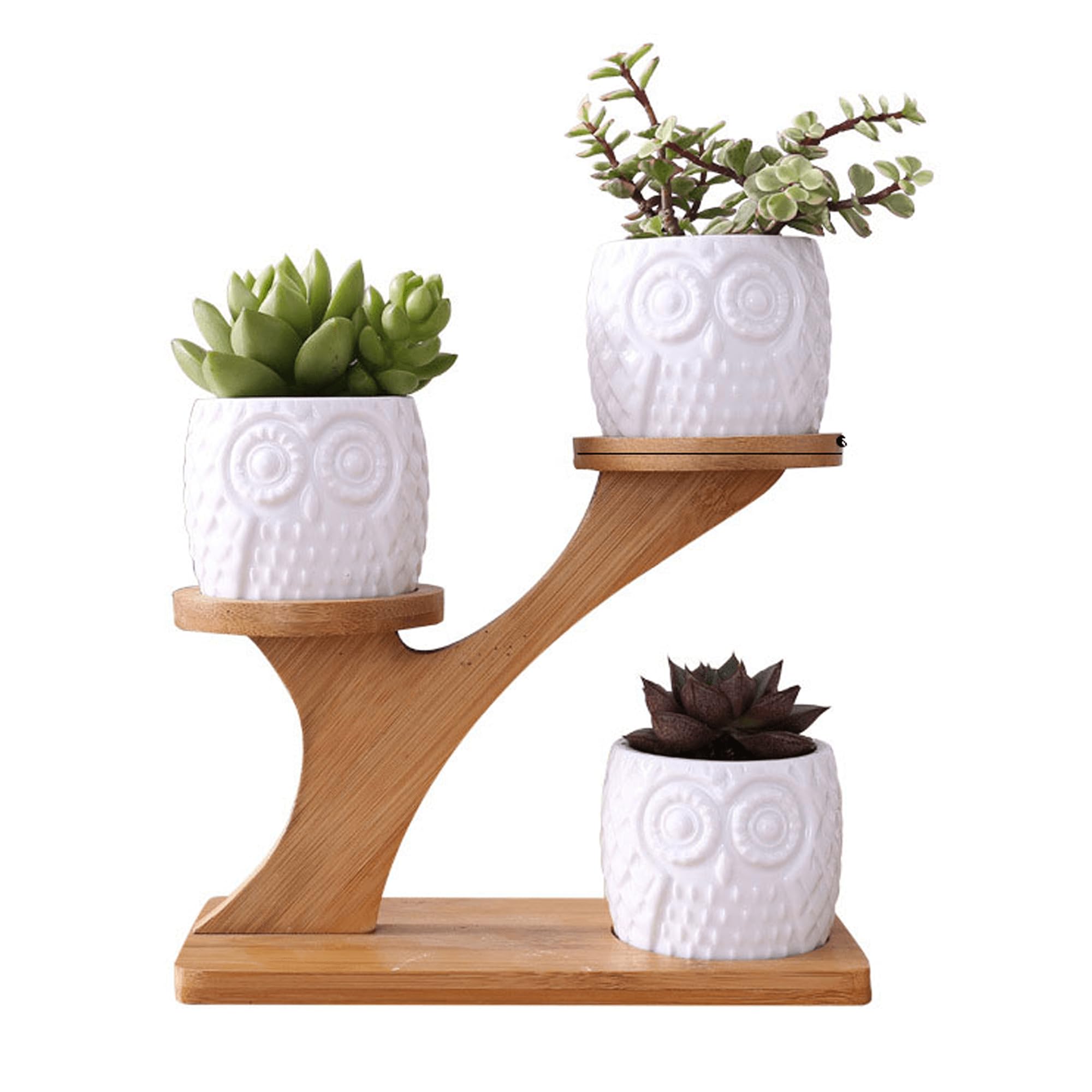 Simcat 3pcs Ceramics Succulent Pots with 3 Tier Bamboo Saucers Stand Holder,Ceramic Flower Planter Pot with Drainage, Mini Cactus Plant Pot for Home Garden Decoration,Plants Not Included (Style three)