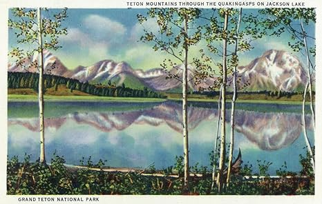 Amazon グランドティトン国立公園 ワイオミング Tetons Onジャクソン湖through Quaking Aspen Treesビュー 12 X 18 Art Print Lant 246 12x18 Lantern Press アートフレーム ポスター 通販