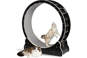 KOORARE 43" Cat Wheel Exerciser for Indoor Cats, Cat Wheel, Cat Exercise Wheel, Cat Treadmill, Ultra-Quiet Cat Running Wheel for Large Cats (Black)