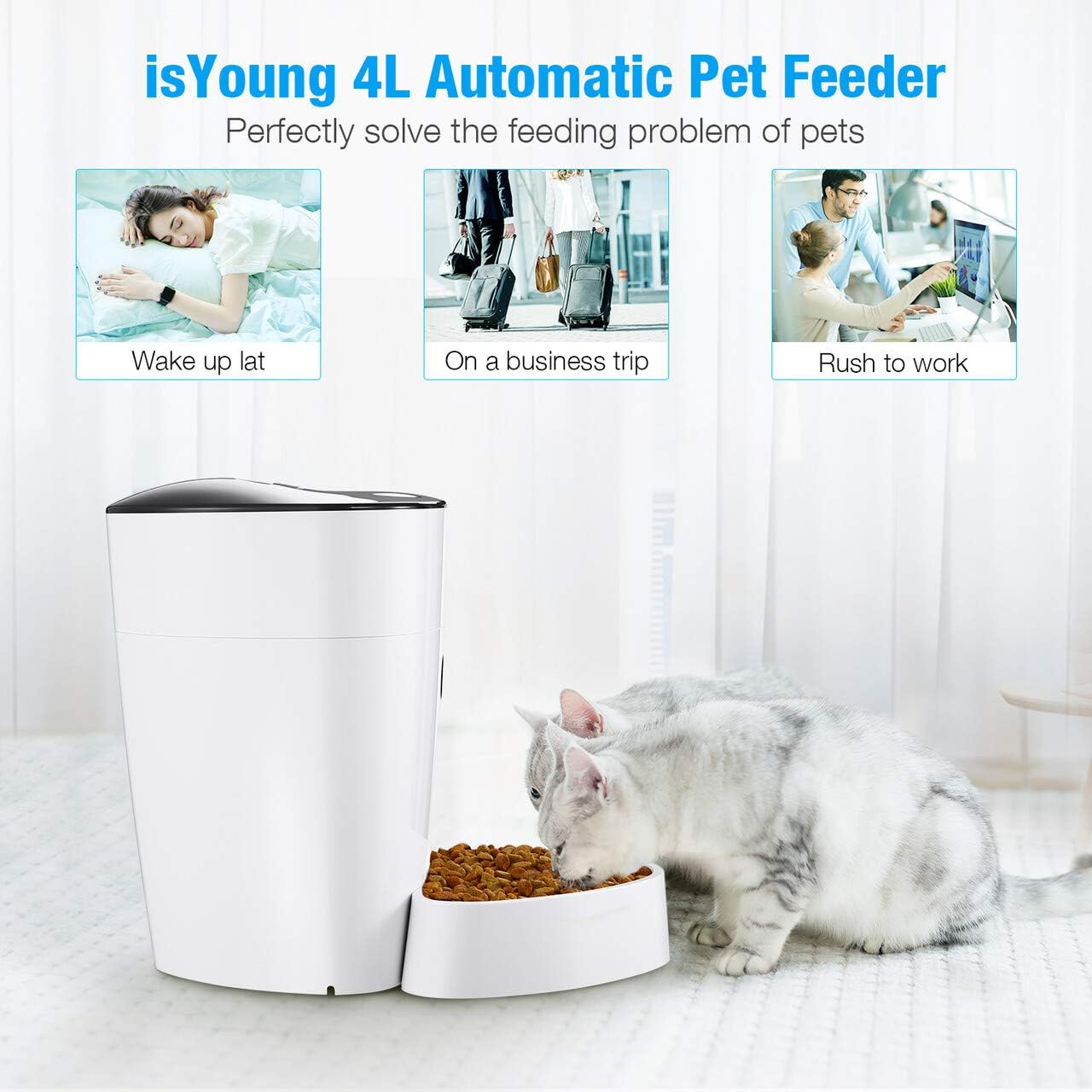 Pet Supplies : isYoung Automatic Cat Feeder, 4L Smart Pet Feeder for Cat & Dog - 6 Meal, LCD Display with Timer Programmable, Portion Control - Battery/Plug-in Power : 