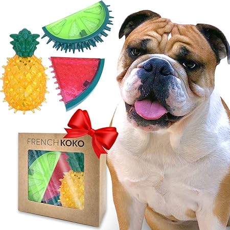 summer toys for dogs