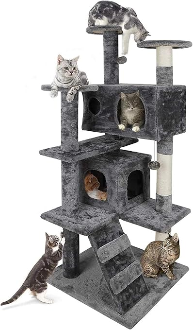 kitty condo amazon
