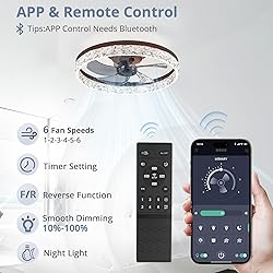 LEDIARY 20" Modern Ceiling Fans with Lights and